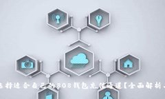 如何选择适合自己的808钱包充值通道？