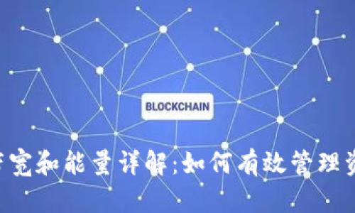 Tokenim钱包的带宽和能量详解:如何有效管理资源以区块链体验