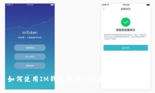 如何使用IM钱包管理PigX资产:全面指南