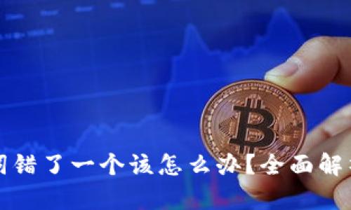 钱包助记词错了一个该怎么办?全面解析解决方案