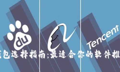 区块链钱包选择指南:最适合你的软件推荐与分析