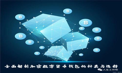 全面解析加密数字货币钱包的种类与选择