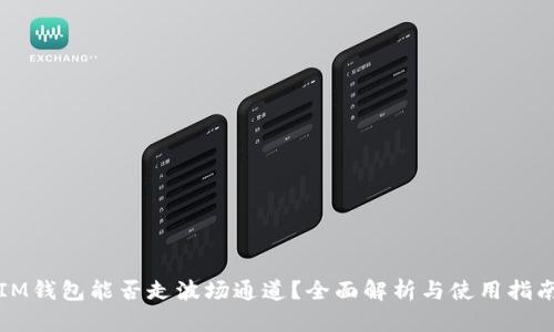 IM钱包能否走波场通道?全面解析与使用指南