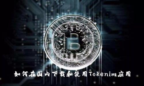 如何在国内下载和使用Tokenim应用