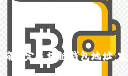 如何正确指定区块链钱包地址:完整指南