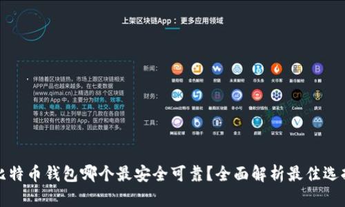 比特币钱包哪个最安全可靠?全面解析最佳选择