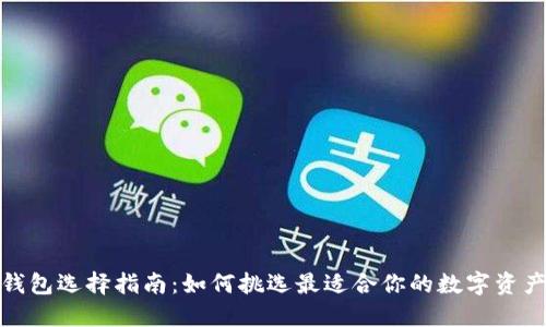 数字货币钱包选择指南:如何挑选最适合你的数字资产管理工具