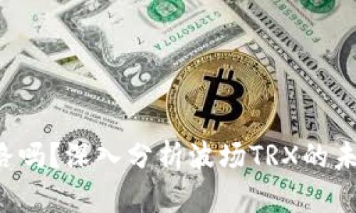 TRX波场会跑路吗?深入分析波场TRX的未来和投资风险