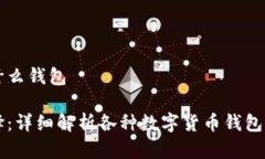 虚拟币可以使用什么钱包虚拟币钱包的