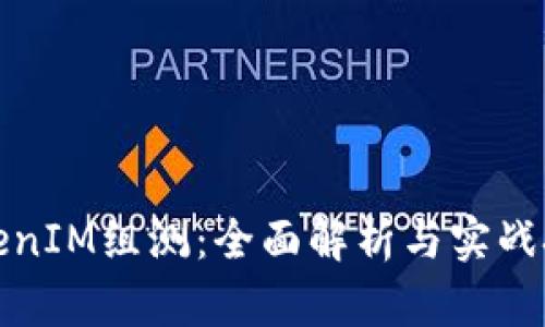 TokenIM组测:全面解析与实战技巧