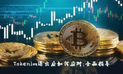 Tokenim退出后如何应对：全面指导