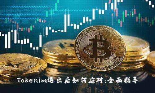 Tokenim退出后如何应对：全面指导