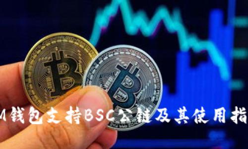 IM钱包支持BSC公链及其使用指南