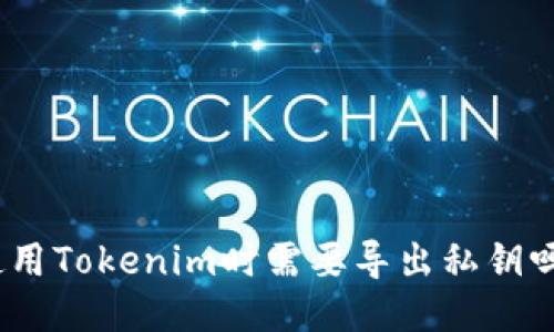 使用Tokenim时需要导出私钥吗？