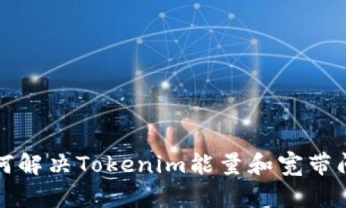 如何解决Tokenim能量和宽带问题