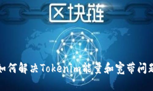 如何解决Tokenim能量和宽带问题