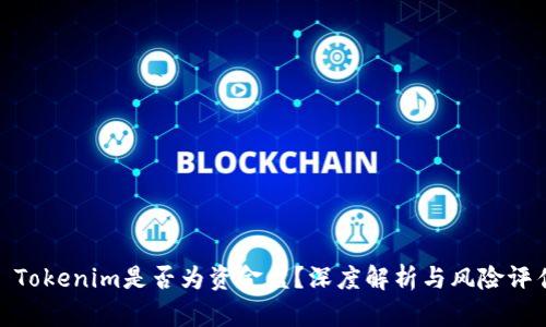 : Tokenim是否为资金盘？深度解析与风险评估