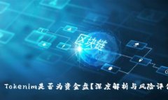 : Tokenim是否为资金盘？深度解析与风险