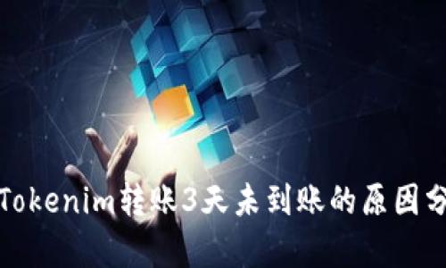 : Tokenim转账3天未到账的原因分析