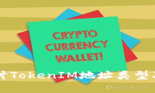 深入探讨TokenIM地址类型及其应用