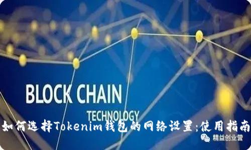 如何选择Tokenim钱包的网络设置：使用指南