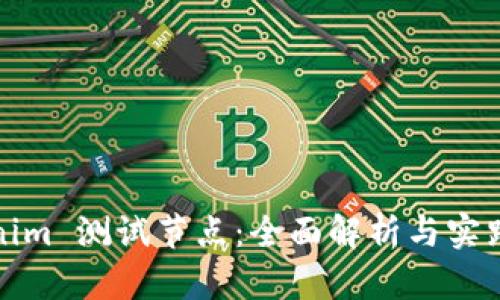 Tokenim 测试节点：全面解析与实践指南