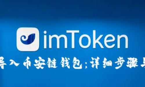 如何安全导入币安链钱包：详细步骤与注意事项
