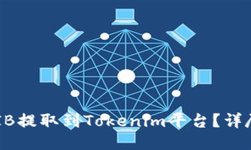 如何将SHIB提取到Tokenim平台？详尽操作指南