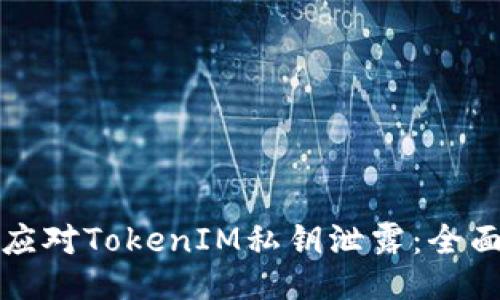 如何应对TokenIM私钥泄露：全面指南