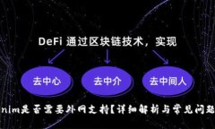 Tokenim是否需要外网支持？详细解析与