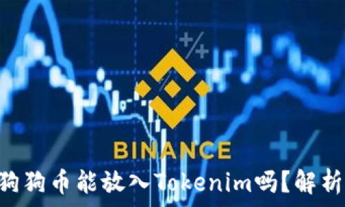   
bioati狗狗币能放入Tokenim吗？解析与探讨