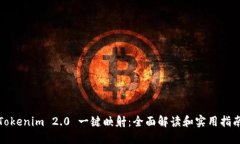 Tokenim 2.0 一键映射：全面解读和实用指