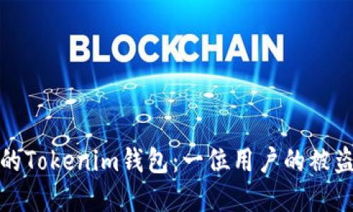 如何保护你的Tokenim钱包：一位用户的被盗经历与教训