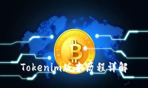 Tokenim版本历程详解