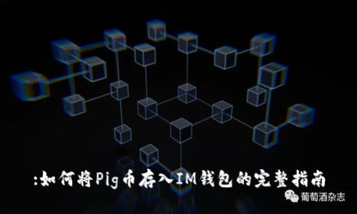 :如何将Pig币存入IM钱包的完整指南