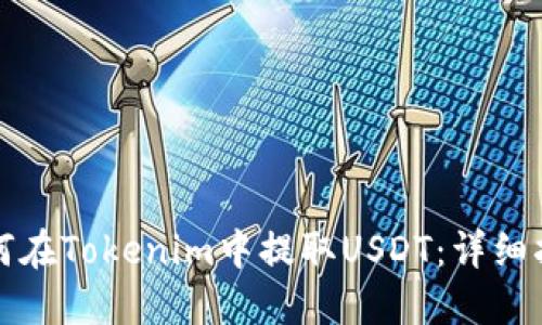 如何在Tokenim中提取USDT：详细指南