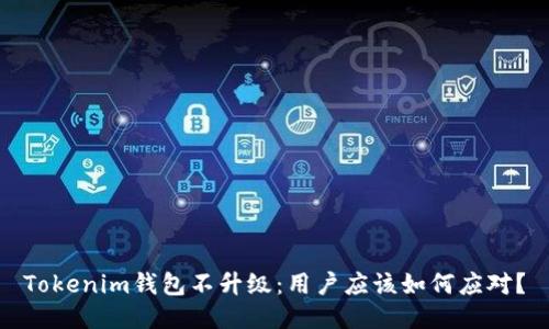 Tokenim钱包不升级：用户应该如何应对？