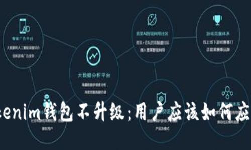 Tokenim钱包不升级：用户应该如何应对？