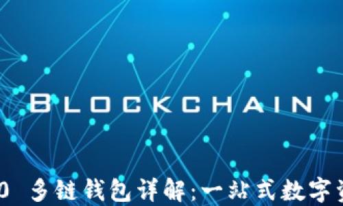 
Tokenim 2.0 多链钱包详解：一站式数字资产管理平台