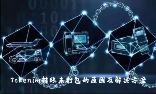 Tokenim转账未打包的原因及解决方案