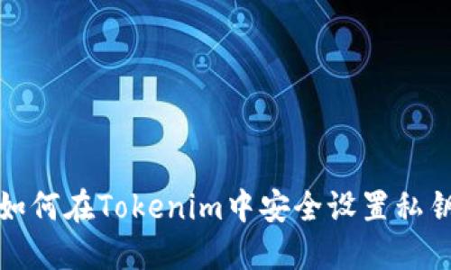 如何在Tokenim中安全设置私钥