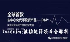 Tokenim：波场矩阵项目全解析