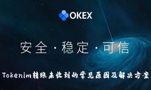 Tokenim转账未收到的常见原因及解决方案