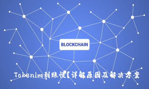  Tokenim到账慢？详解原因及解决方案