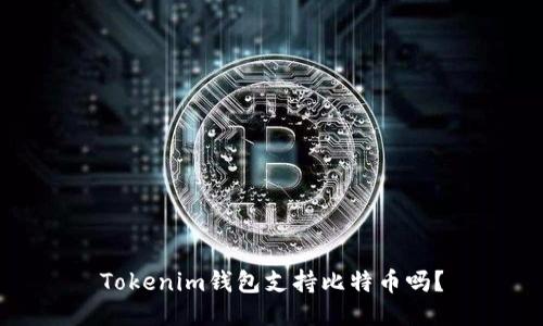 Tokenim钱包支持比特币吗？