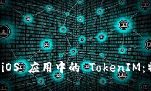 深入解析 iOS 应用中的 TokenIM：特性与实现