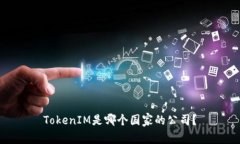 TokenIM是哪个国家的公司？