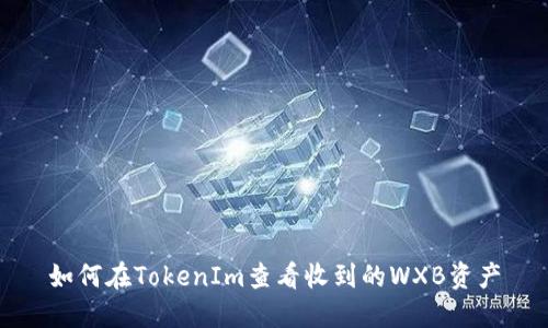 如何在TokenIm查看收到的WXB资产
