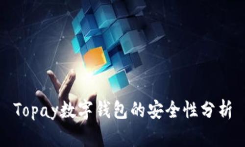Topay数字钱包的安全性分析
