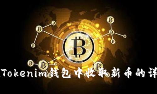 如何在Tokenim钱包中收取新币的详细指南